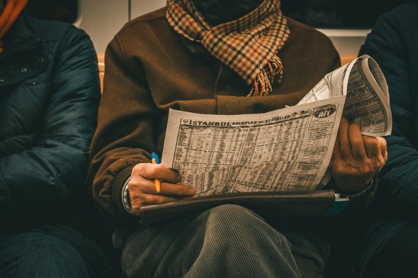 Crafting a Comfortable Haven: Tips for Creating a Cozy Home for Your Pet Hedgehog