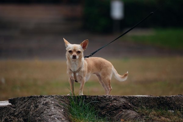 Discover the Best Smart Lighting Solutions for Your Home Automation System